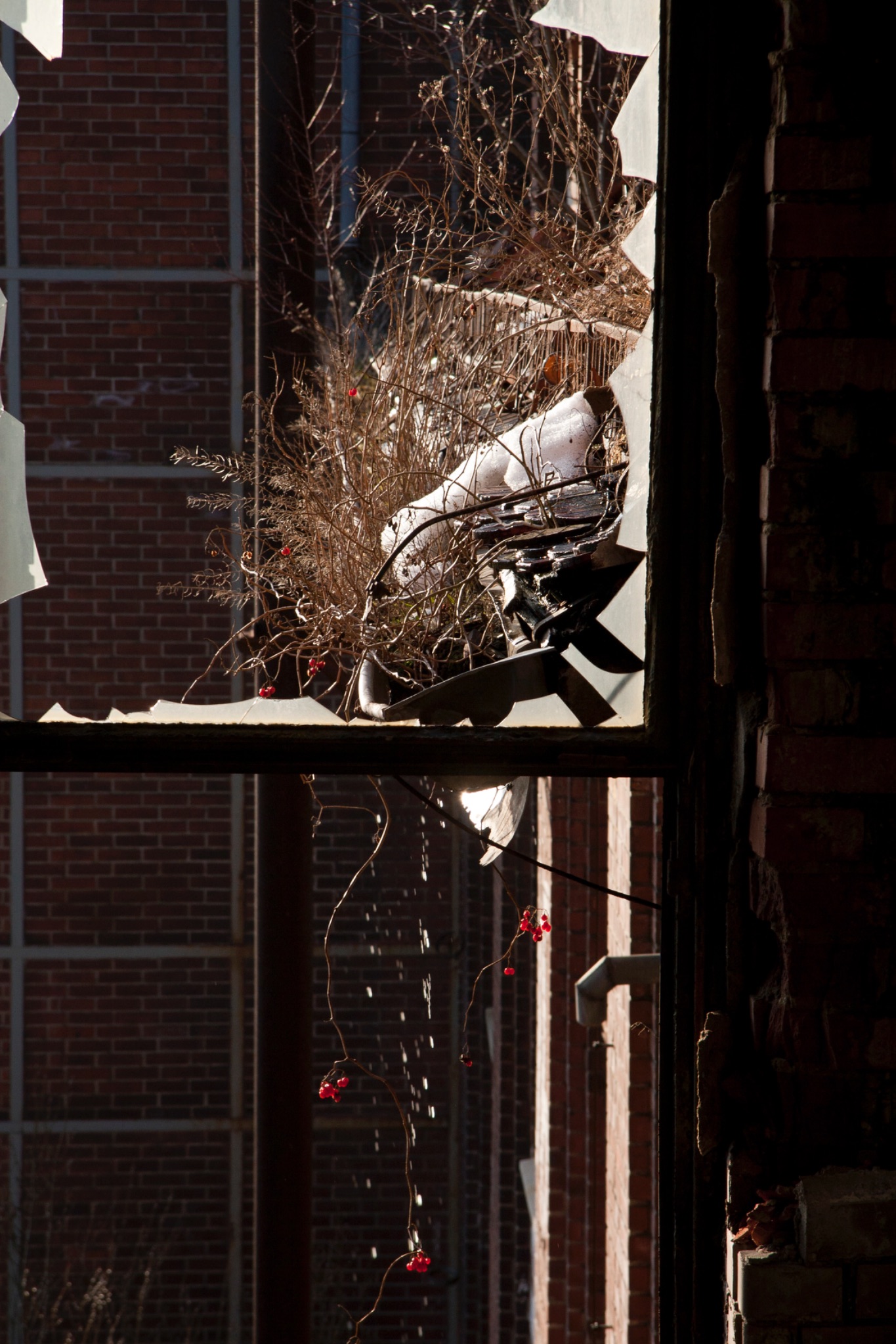 Der letzte Schnee taut in der kaputten Dachrinne  7677 2.1